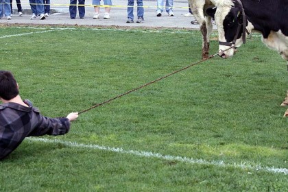 cow_chip_bingo_2-6-10-023