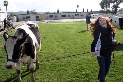 cow_chip_bingo_2-6-10-103