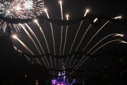 2010 Disneyland