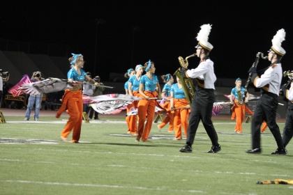 2013-11-6 Band Pageant