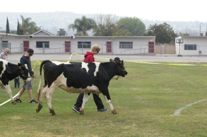 2015-02-21 Cow Chip Bingo