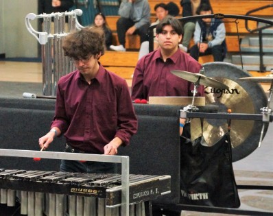 Percussion_1